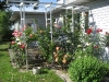 Rosengarten 5